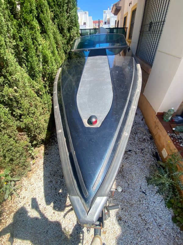 PIRAÑA PANTERA